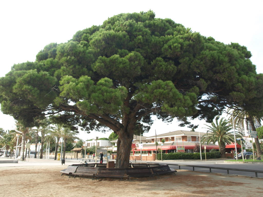 Apartaments Geminis Cambrils Kamer foto